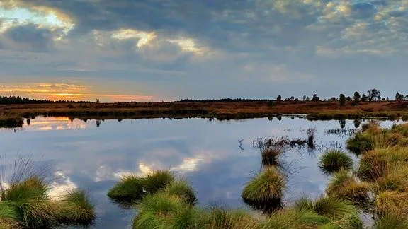 Rubrik_Naturschutz-pixabay-moor-panorama-2802329_960_720